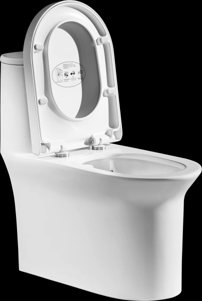 Унитаз напольный безободковый Arrow AB1802H без сиденья с бачком